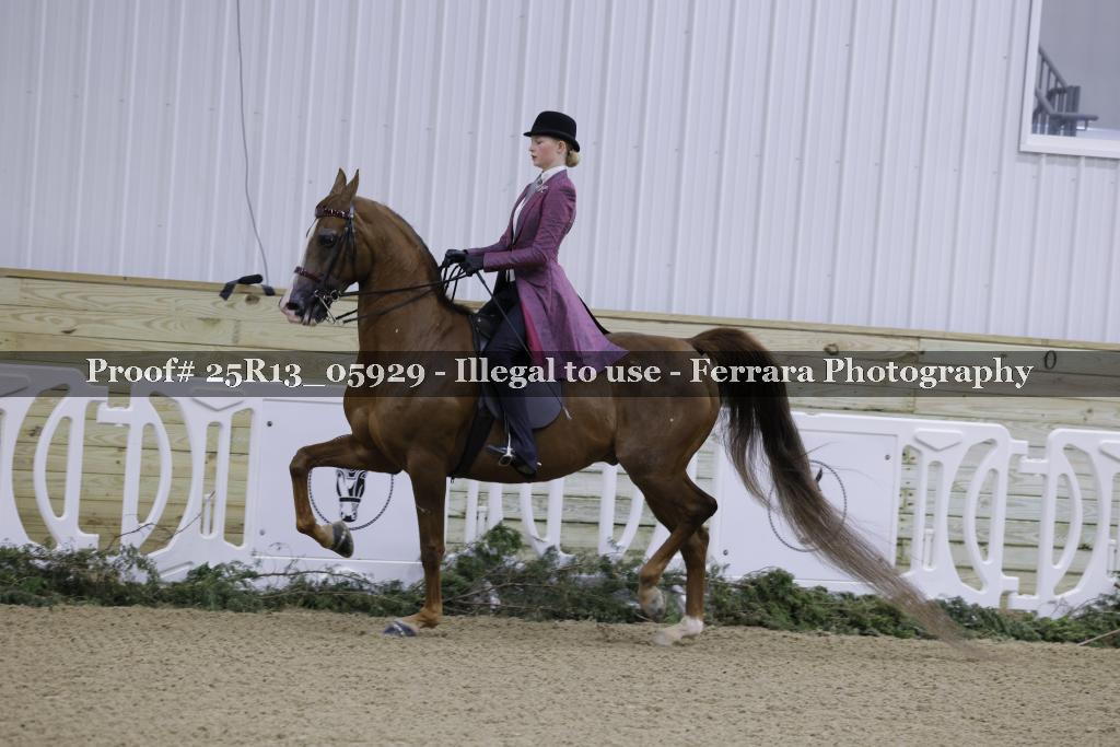 Proof 25R13_05929