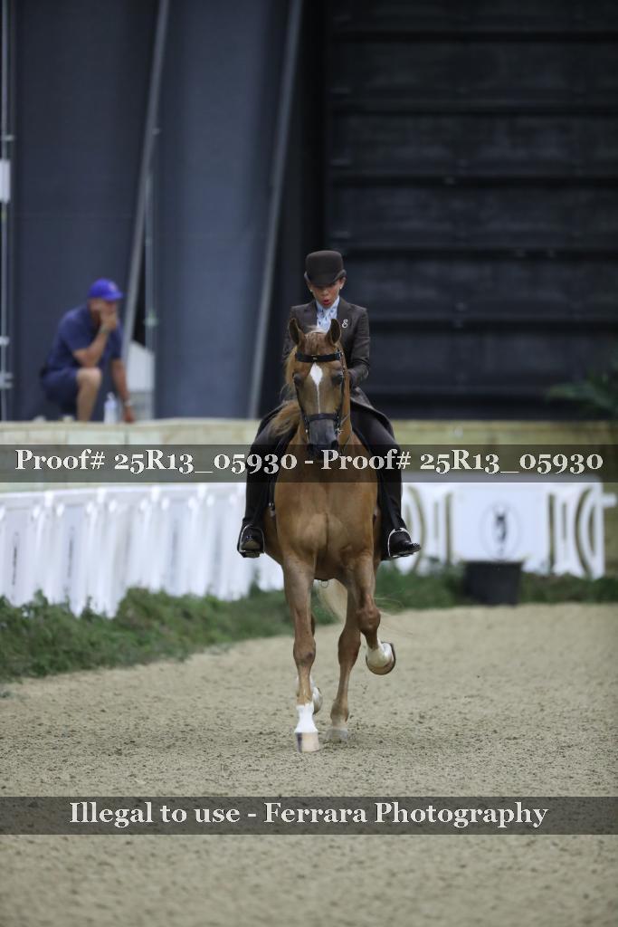 Proof 25R13_05930