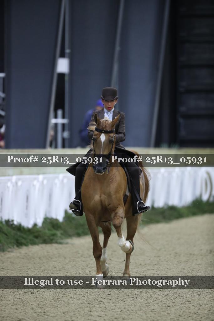 Proof 25R13_05931