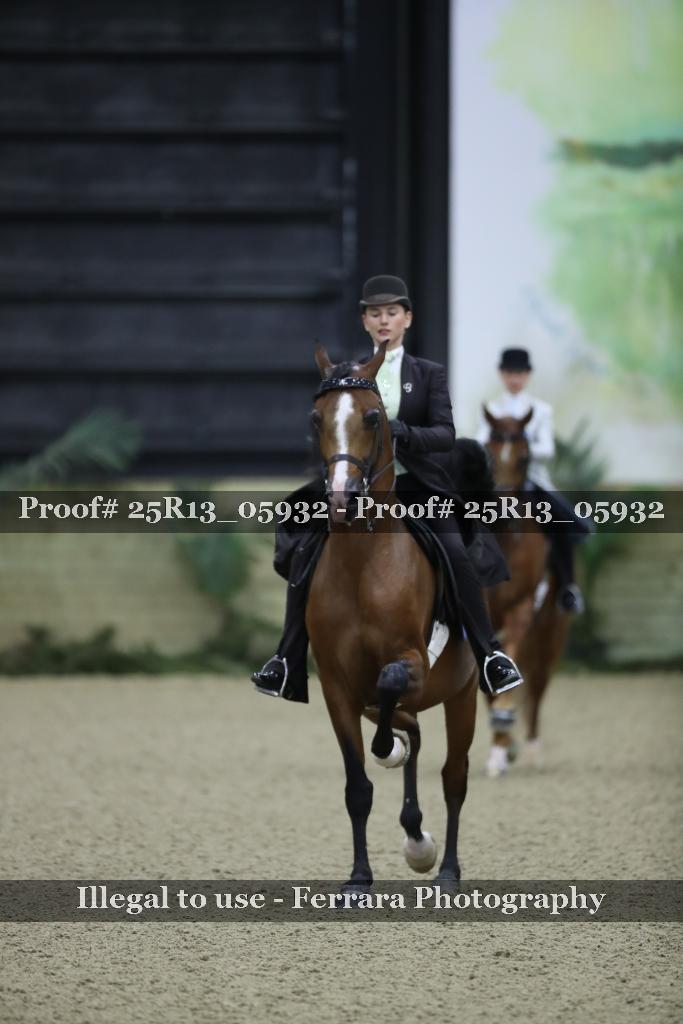 Proof 25R13_05932