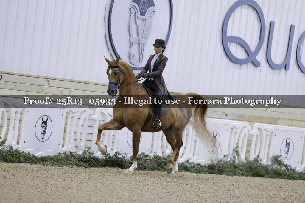 Proof 25R13_05933
