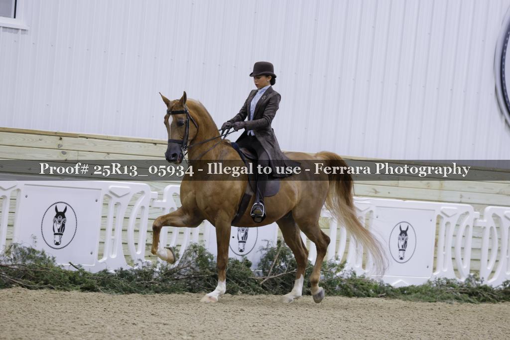 Proof 25R13_05934
