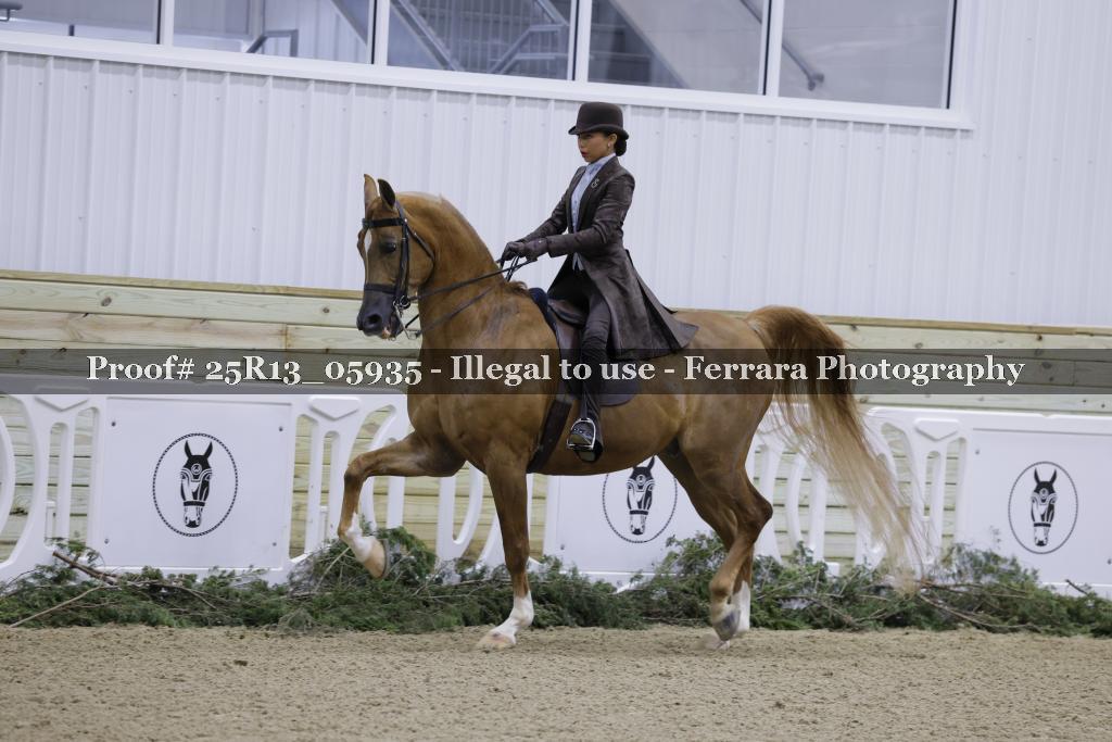 Proof 25R13_05935