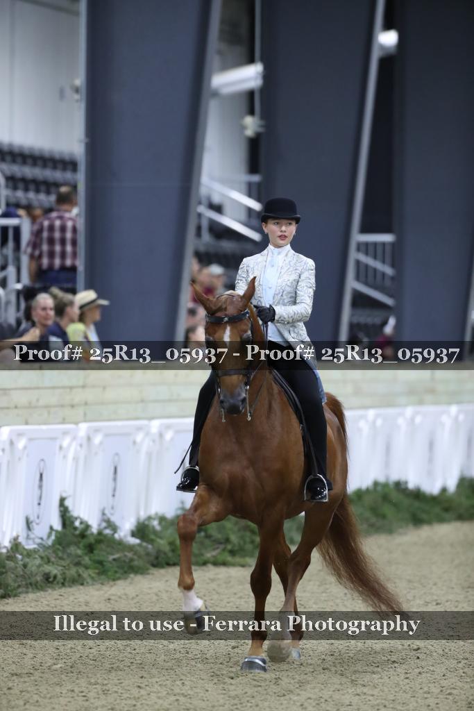 Proof 25R13_05937