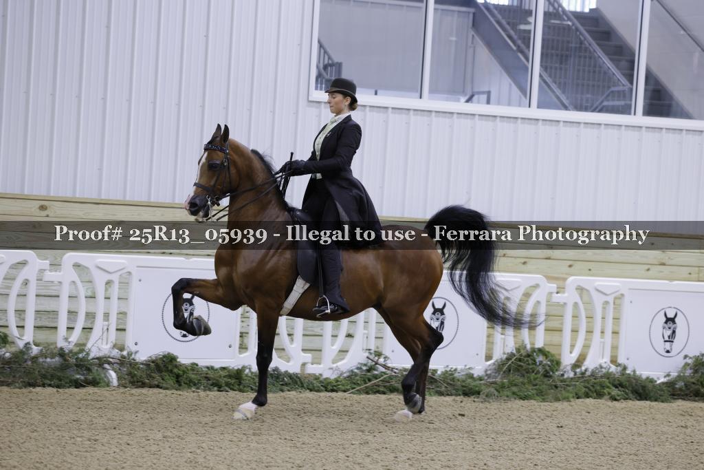 Proof 25R13_05939