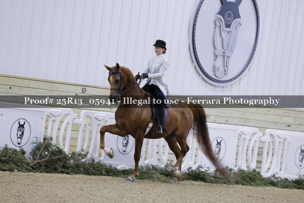 Proof 25R13_05941
