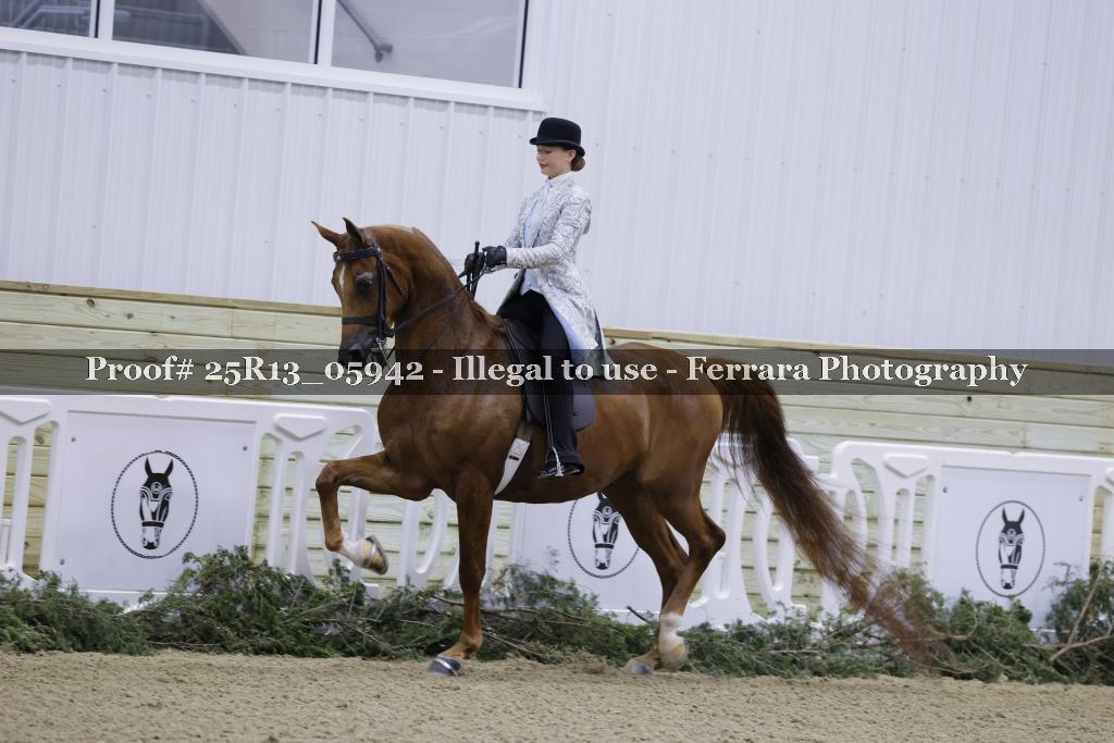 Proof 25R13_05942