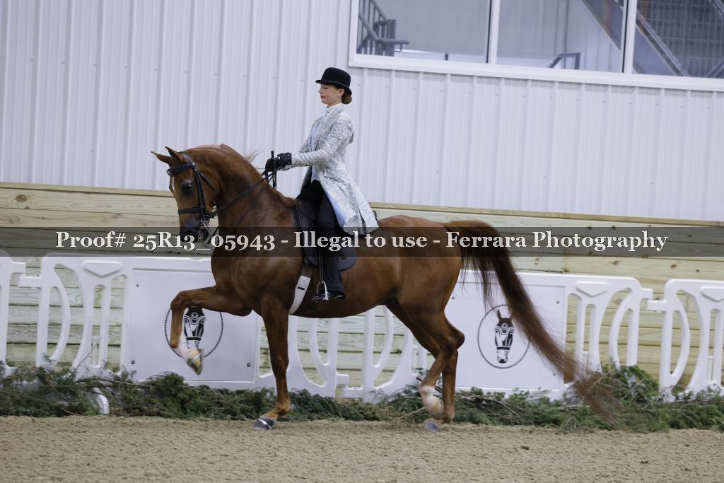 Proof 25R13_05943