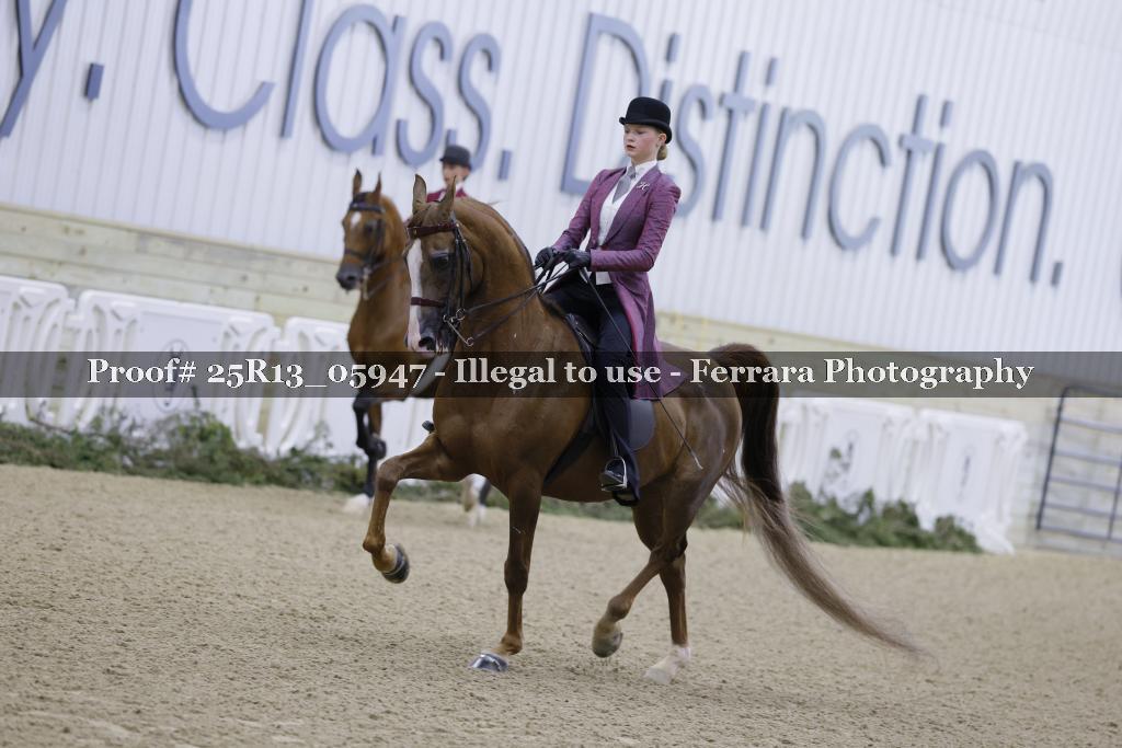 Proof 25R13_05947