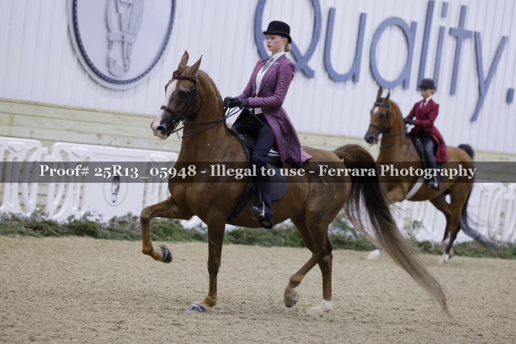 Proof 25R13_05948