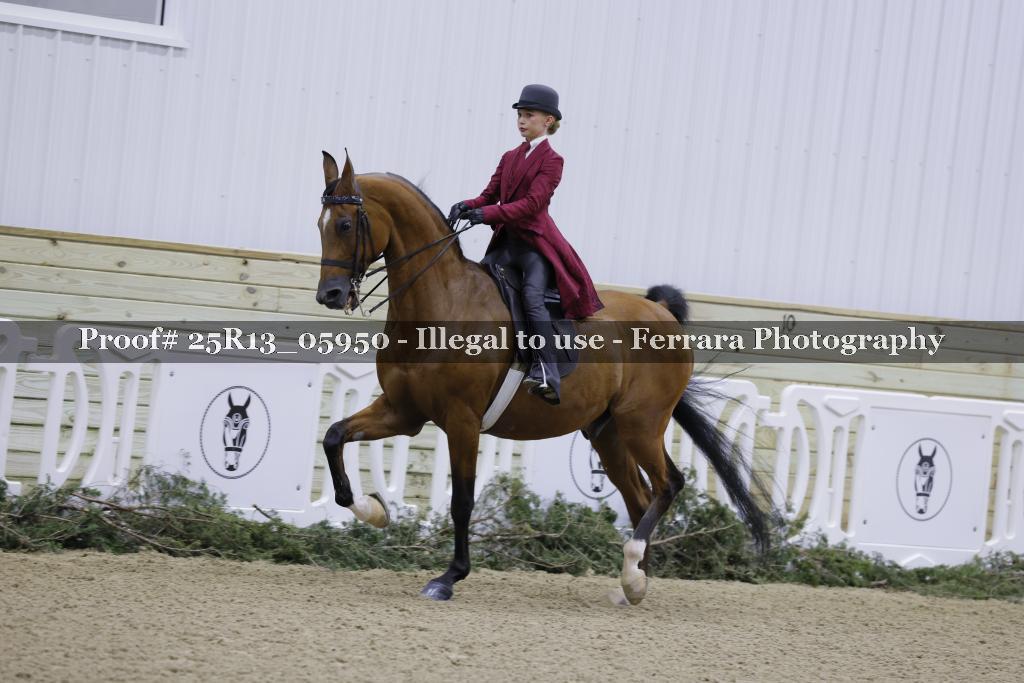 Proof 25R13_05950