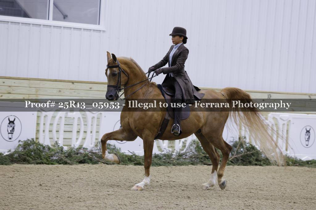 Proof 25R13_05953