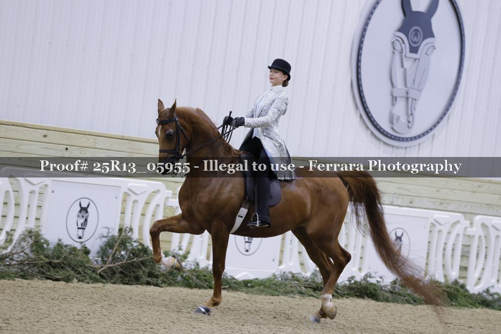 Proof 25R13_05955