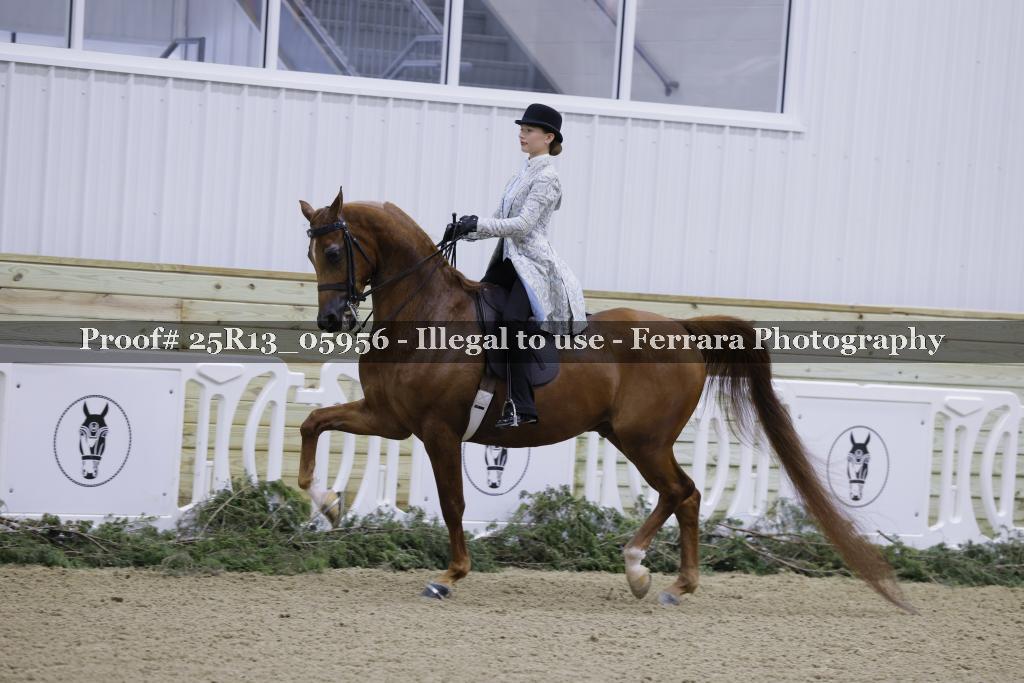 Proof 25R13_05956