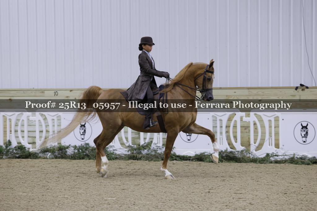 Proof 25R13_05957