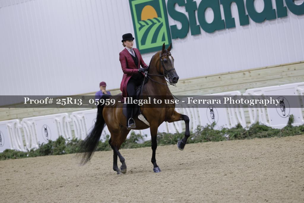 Proof 25R13_05959