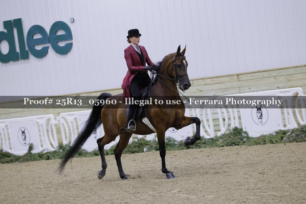 Proof 25R13_05960