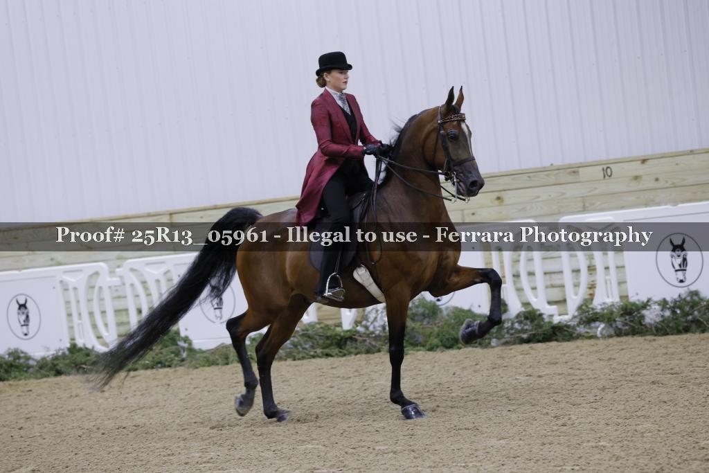 Proof 25R13_05961