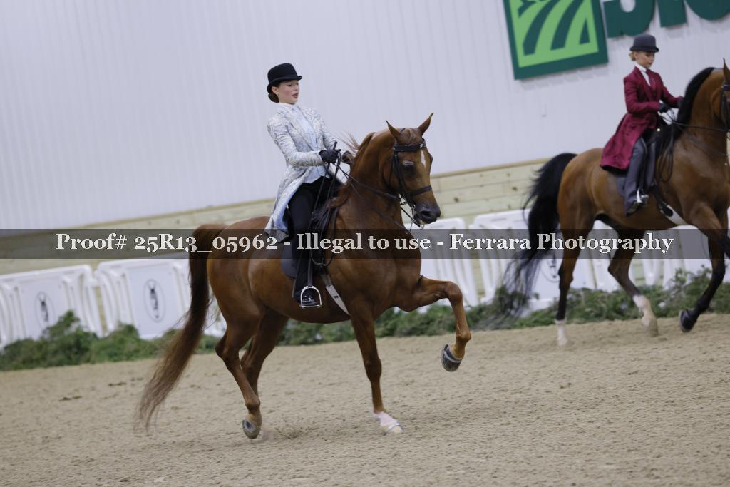 Proof 25R13_05962