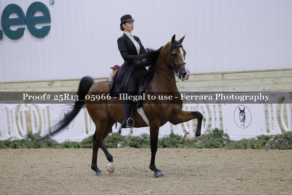 Proof 25R13_05966