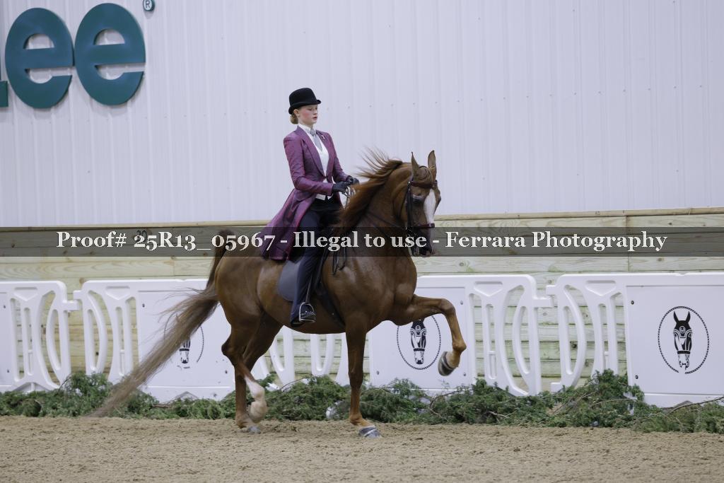Proof 25R13_05967