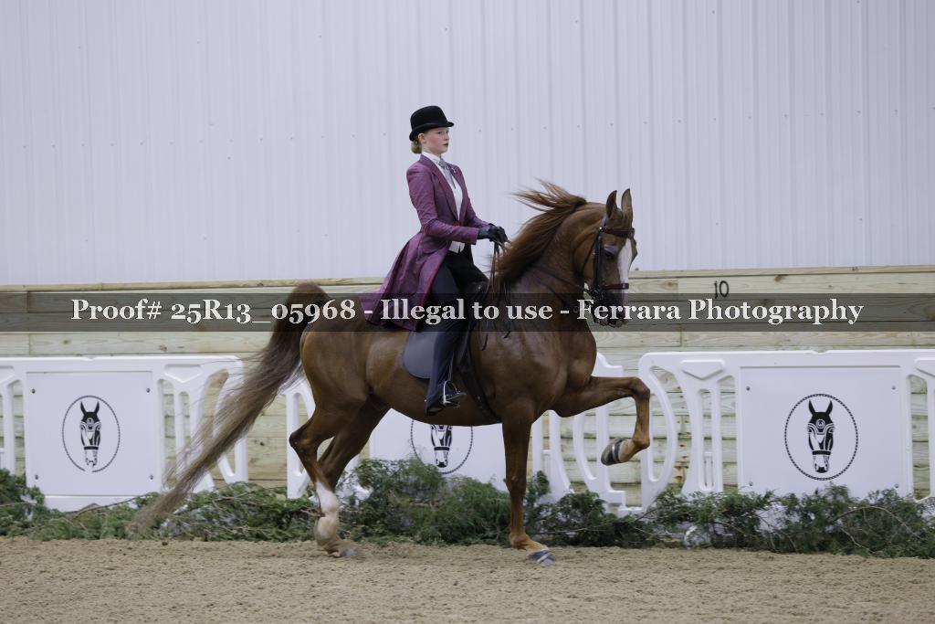 Proof 25R13_05968