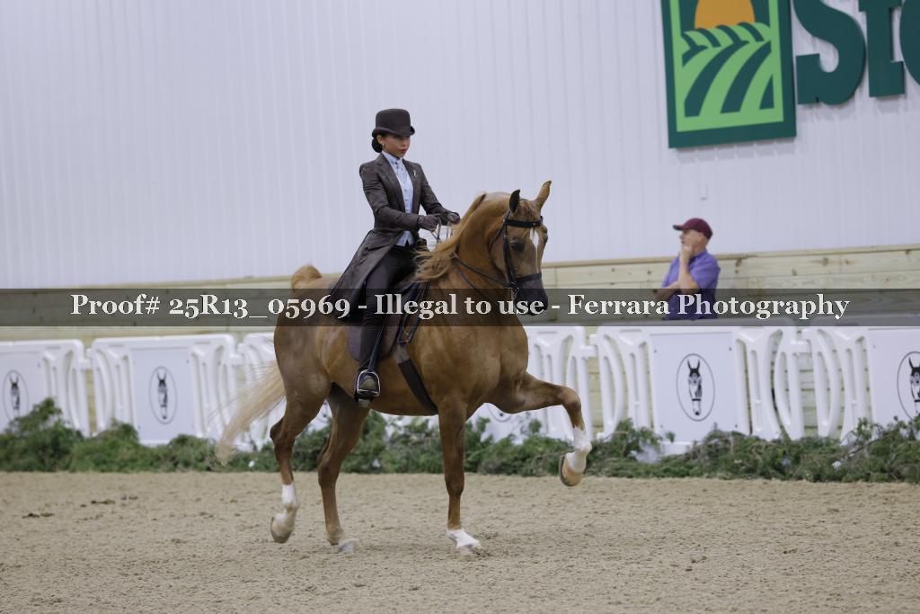 Proof 25R13_05969