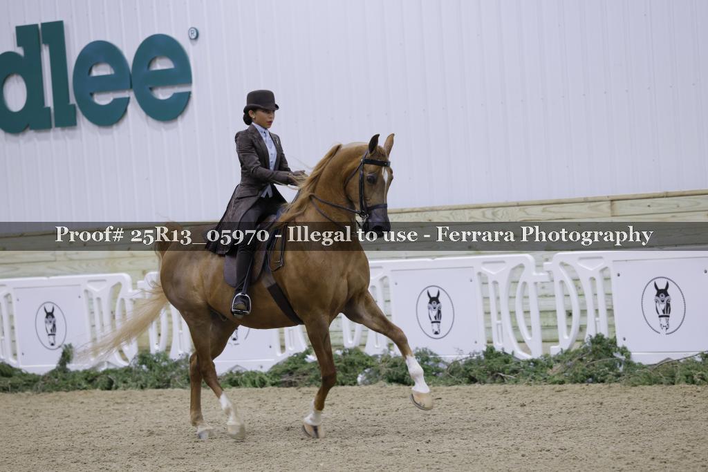 Proof 25R13_05970