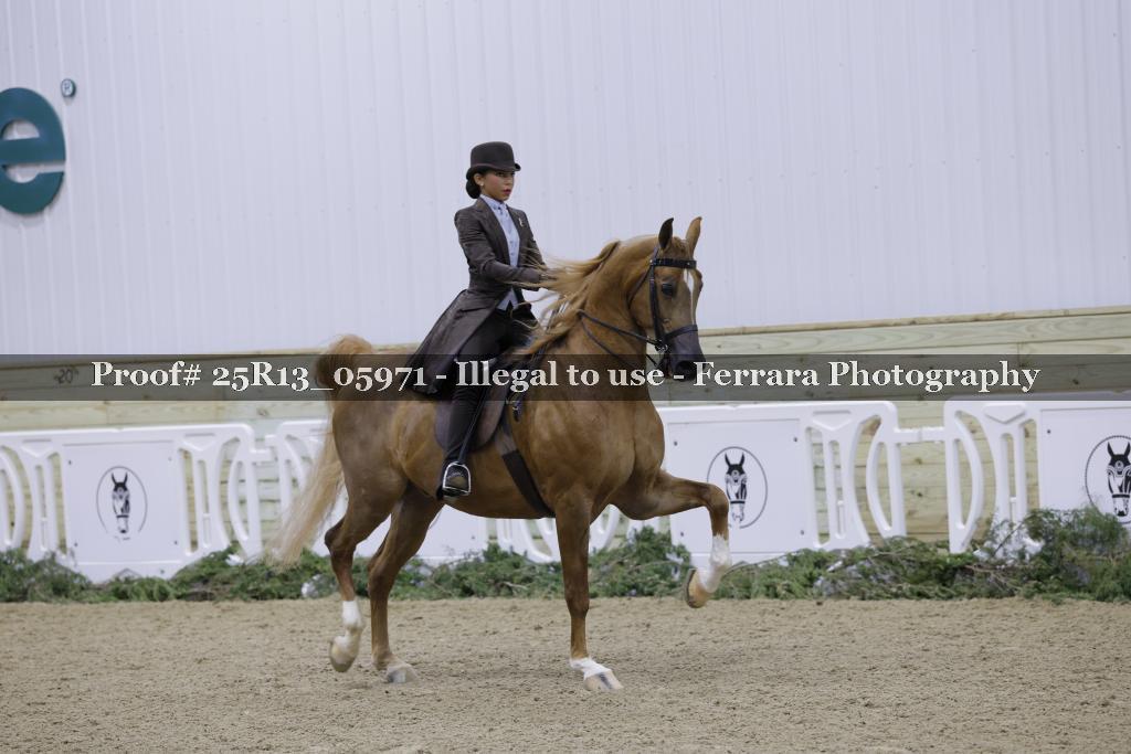 Proof 25R13_05971