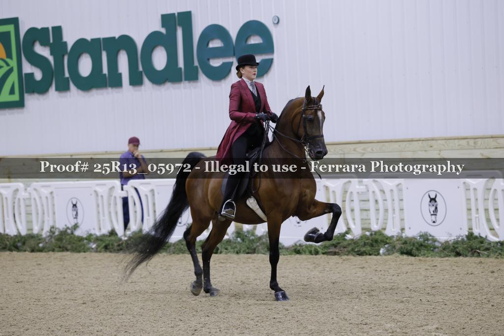 Proof 25R13_05972