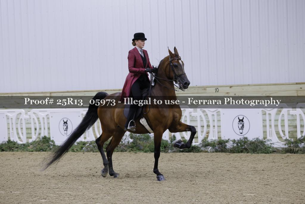 Proof 25R13_05973
