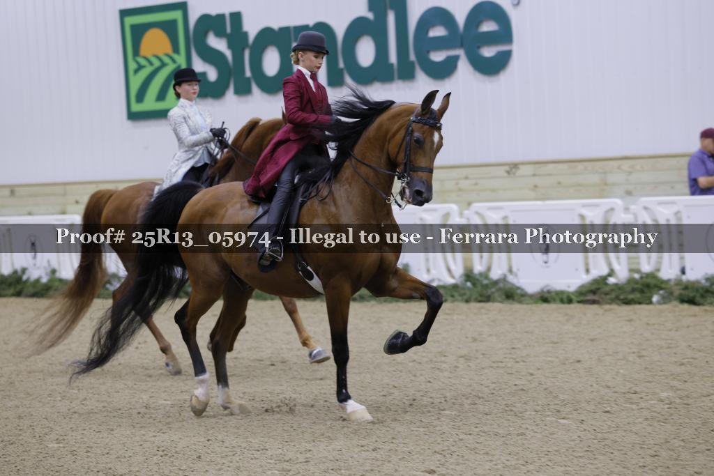 Proof 25R13_05974