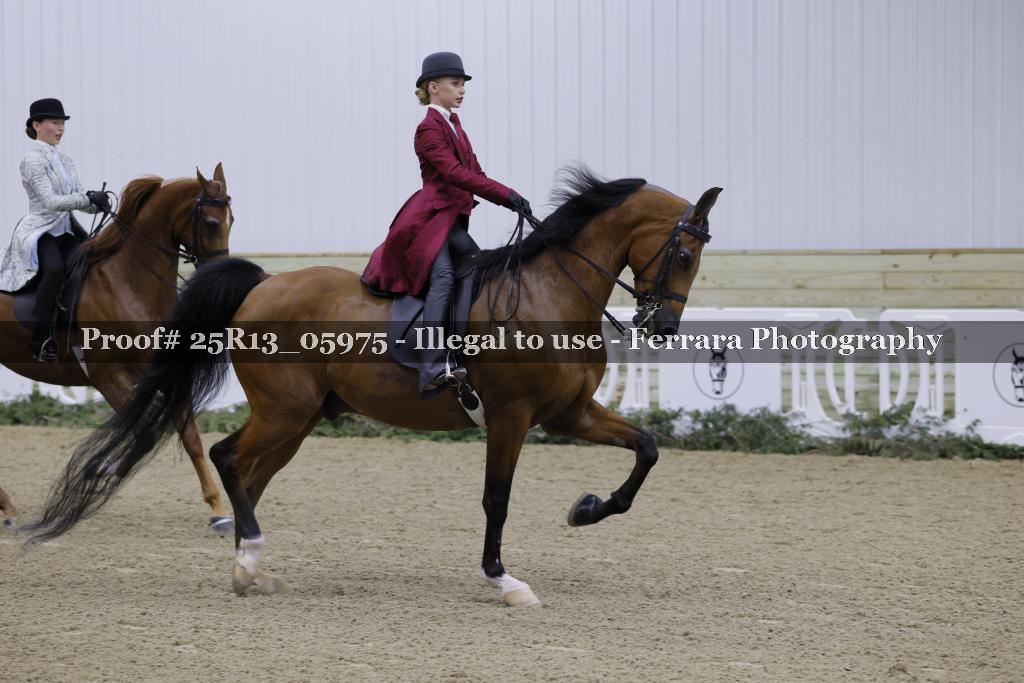 Proof 25R13_05975