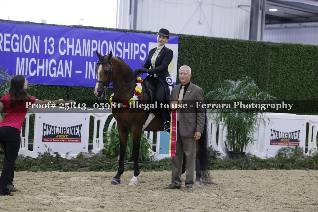 Proof 25R13_05981