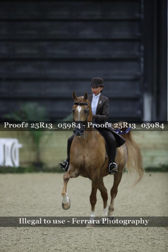 Proof 25R13_05984