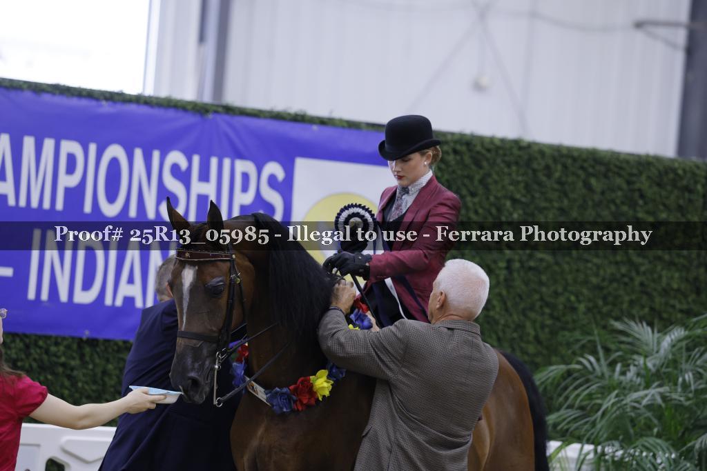 Proof 25R13_05985