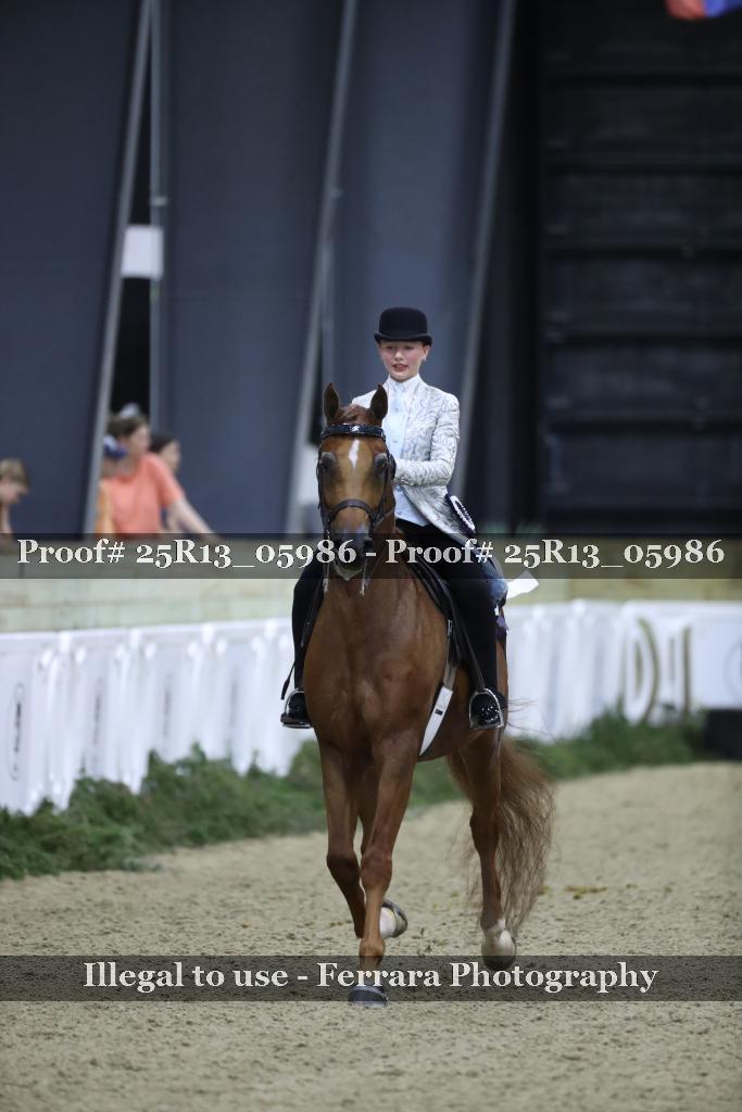 Proof 25R13_05986