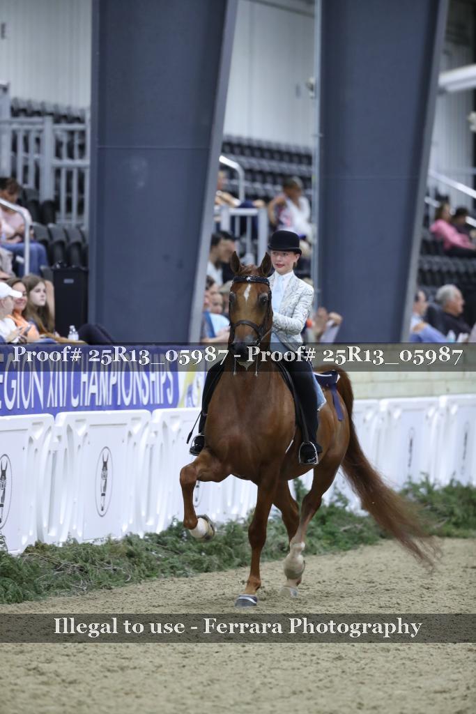 Proof 25R13_05987