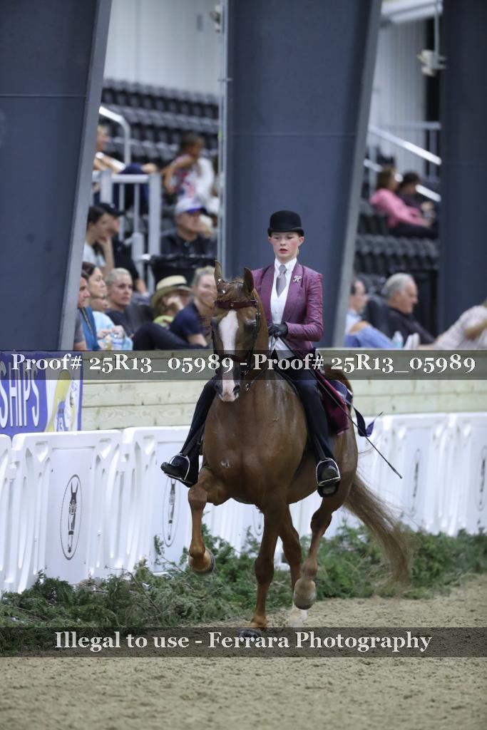 Proof 25R13_05989