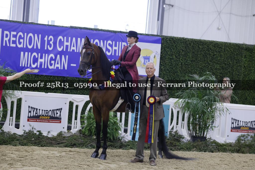 Proof 25R13_05990