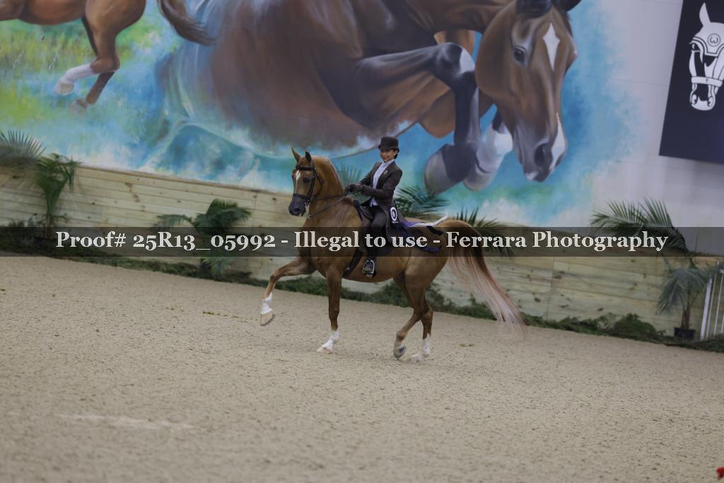 Proof 25R13_05992