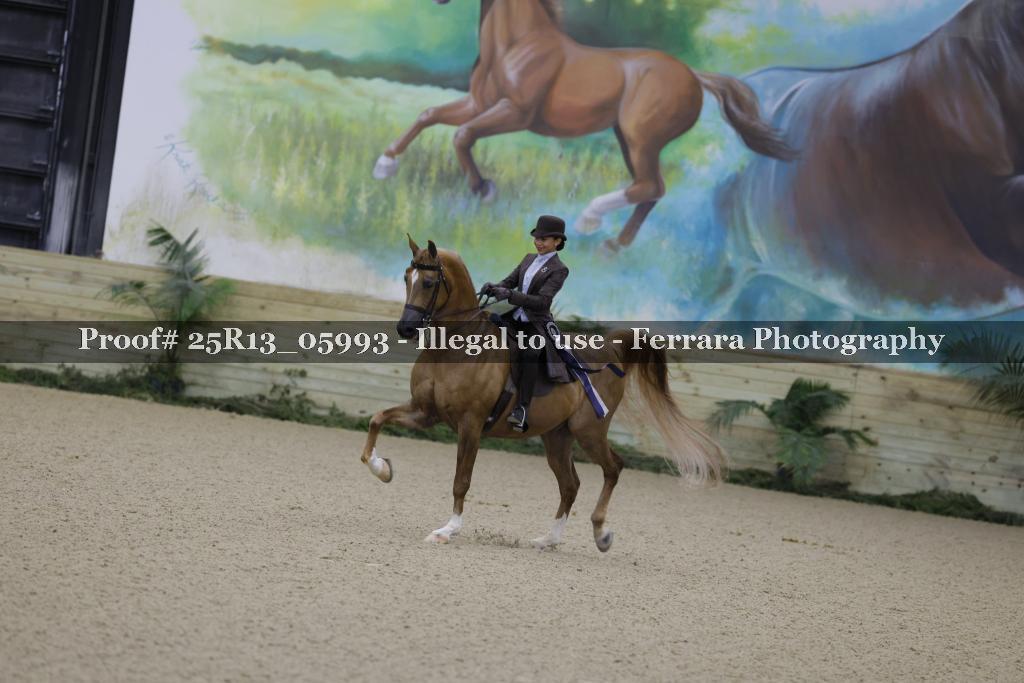 Proof 25R13_05993