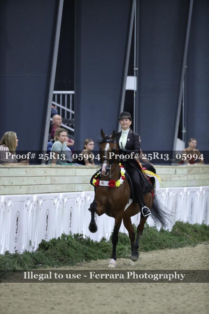 Proof 25R13_05994
