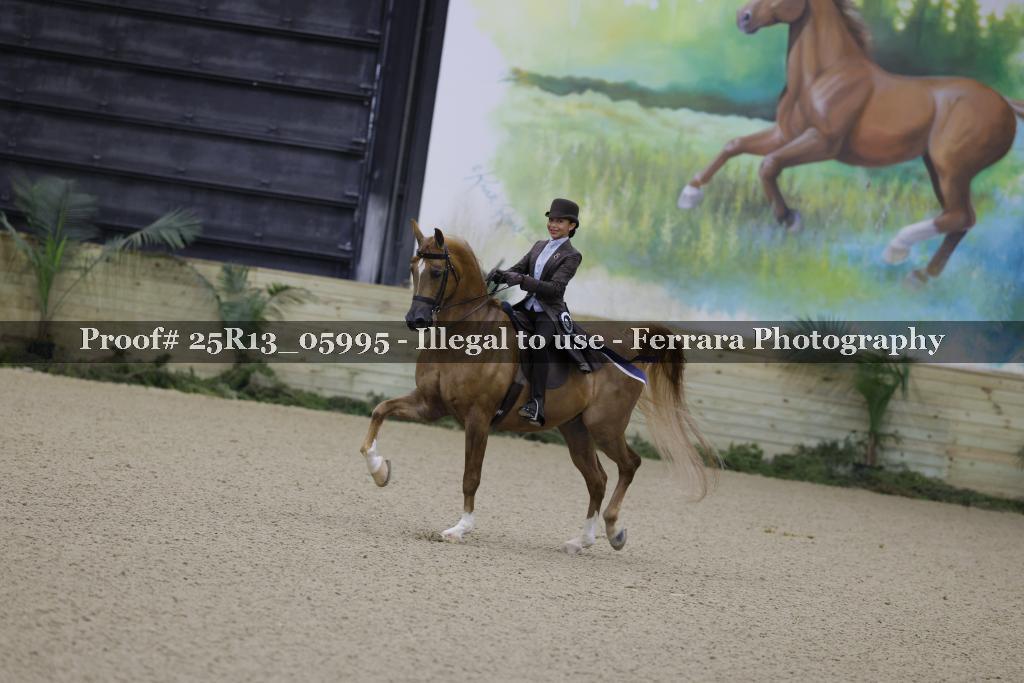 Proof 25R13_05995