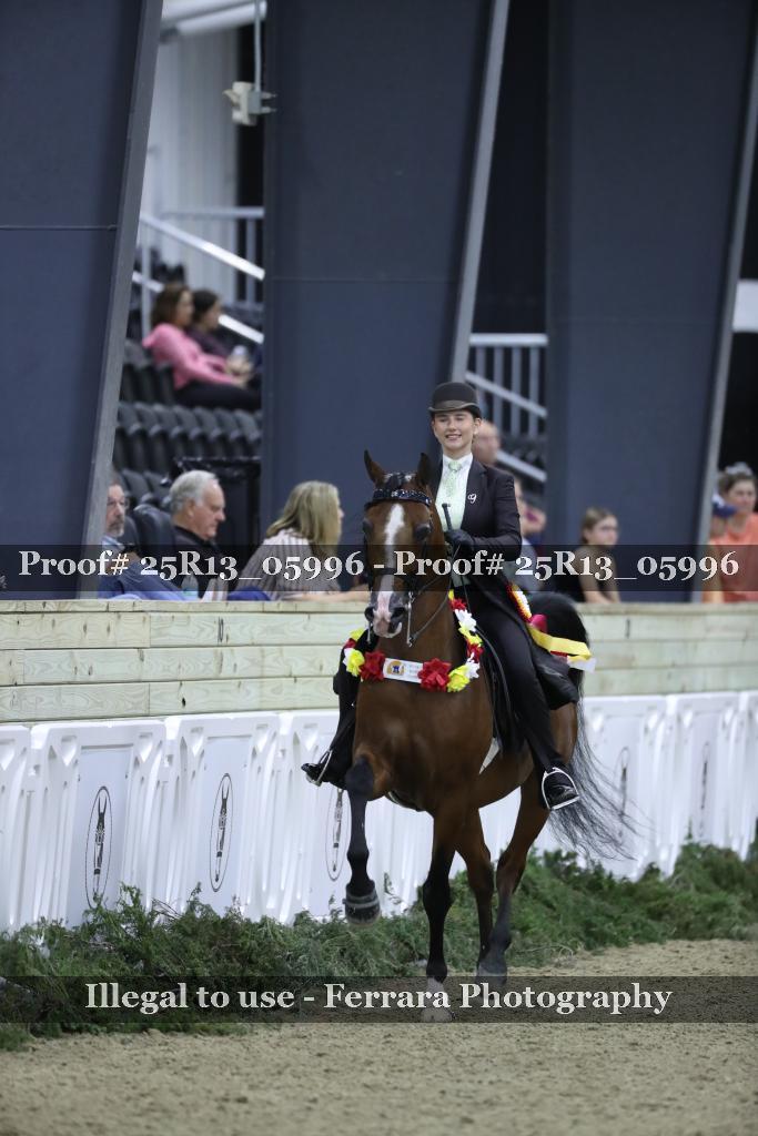 Proof 25R13_05996