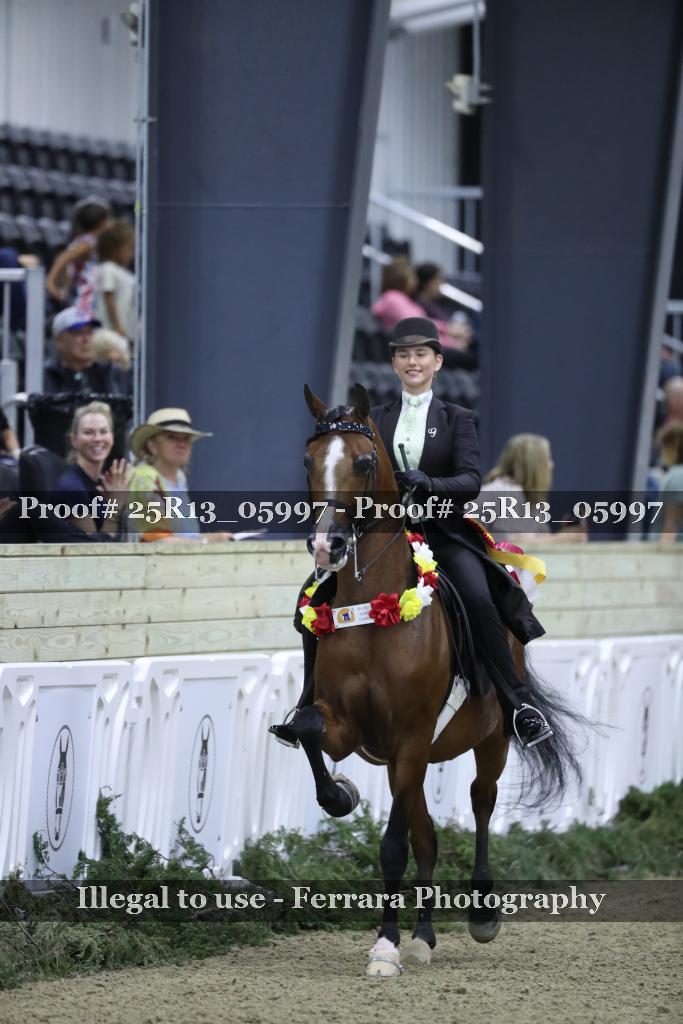 Proof 25R13_05997