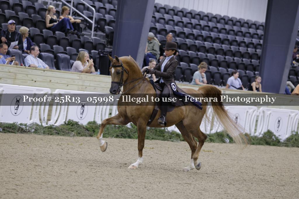 Proof 25R13_05998