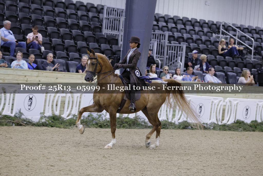 Proof 25R13_05999
