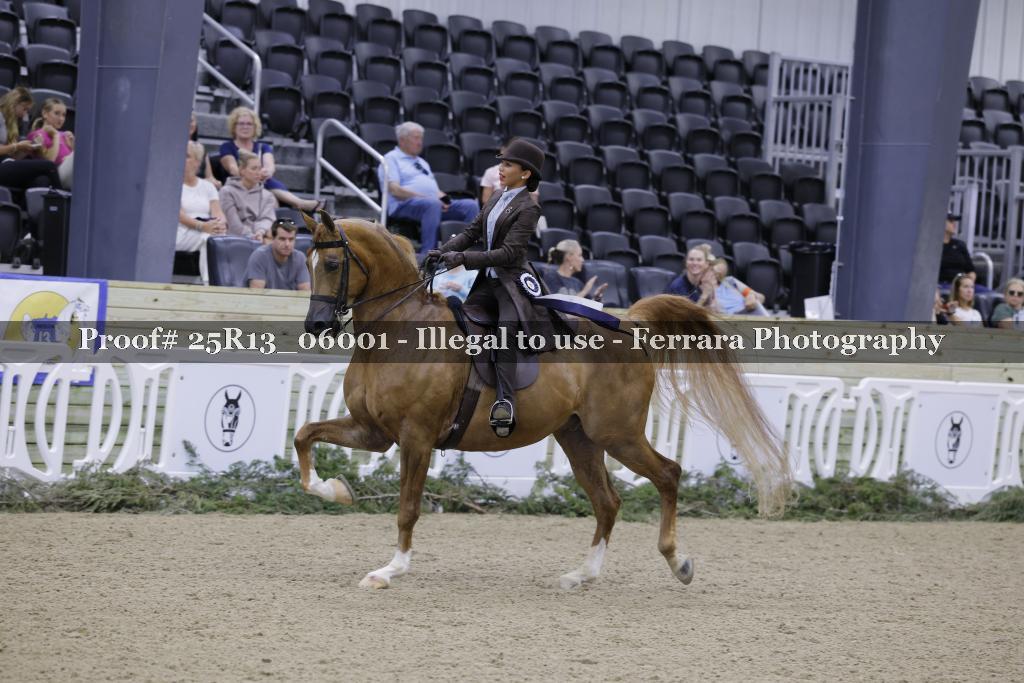 Proof 25R13_06001