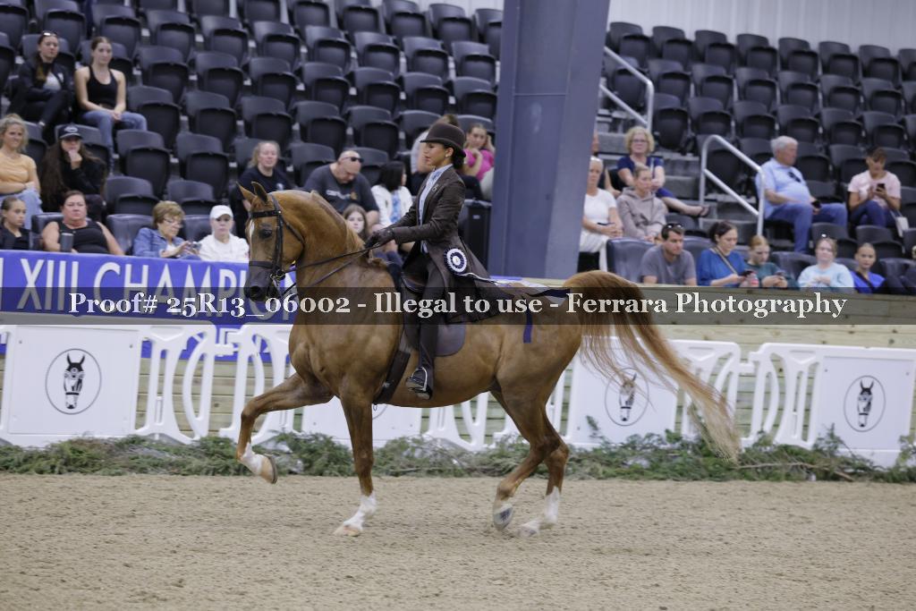 Proof 25R13_06002